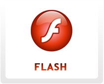Flash, Animation